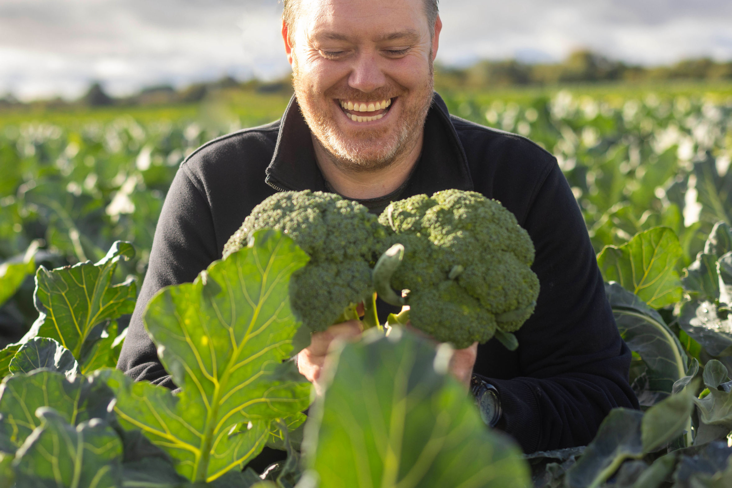 Our Broccoli Grower